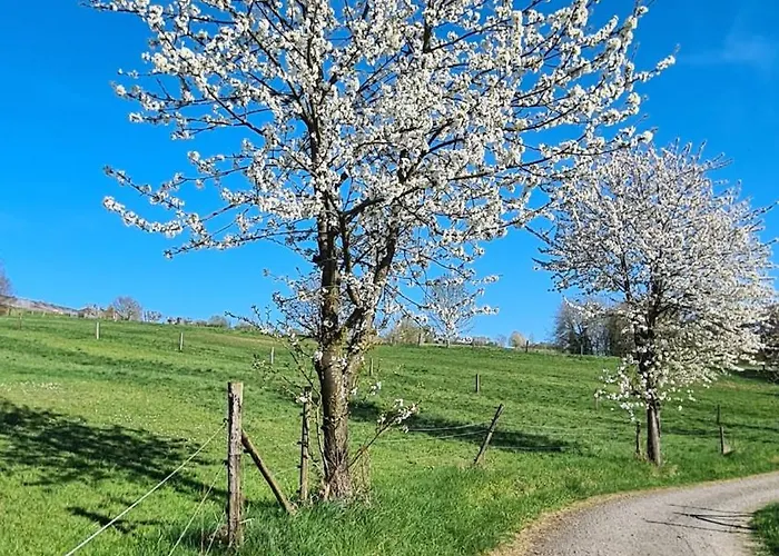 Rengerter Oase Appartement Neunkirchen (Neunkirchen-Seelscheid)
